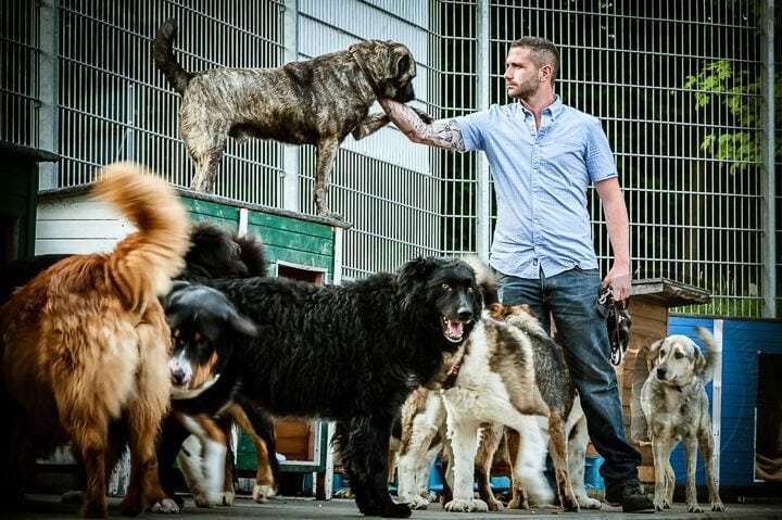 Chris Deschl mit Hunden
